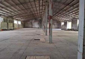 481975-Vorschaubild2