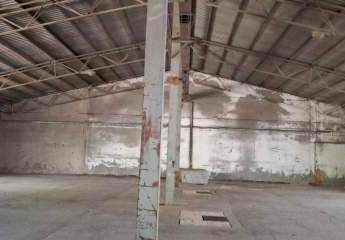 481975-Vorschaubild3