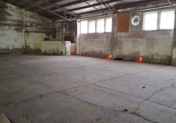 481975-Vorschaubild4