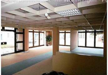 481976-Vorschaubild3