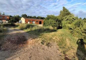 482004-Vorschaubild2