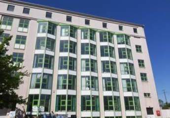 483016-Vorschaubild3