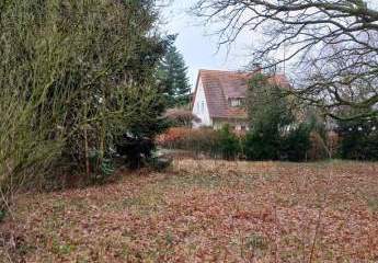 483381-Vorschaubild2