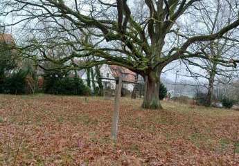 483381-Vorschaubild3