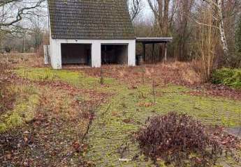 483381-Vorschaubild4