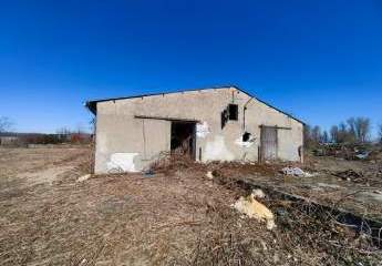 484991-Vorschaubild2