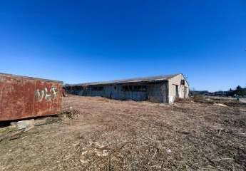 484991-Vorschaubild3