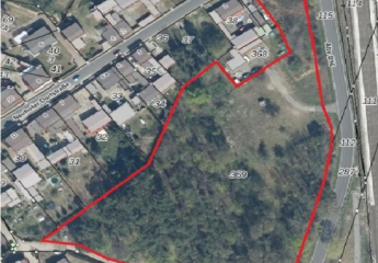 484994-Vorschaubild3