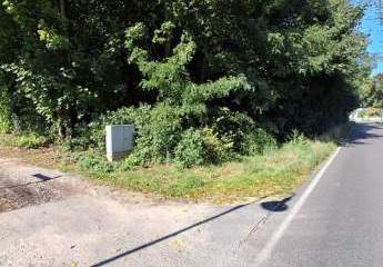 484994-Vorschaubild4