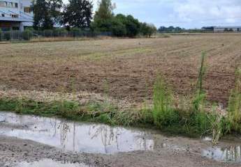 485827-Vorschaubild2