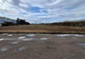 485827-Vorschaubild4