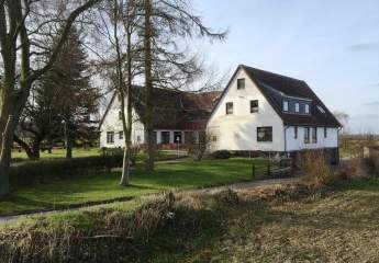 485872-Vorschaubild3