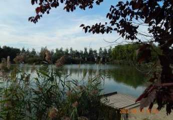 Baugrund,West Ungarn,1m2=14 euro
