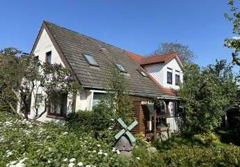 447577-Vorschaubild2