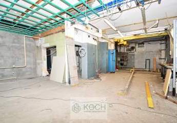 447667-Vorschaubild3