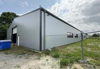 478730-Vorschaubild3