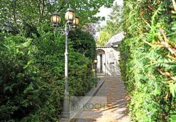 478731-Vorschaubild3