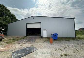 478733-Vorschaubild2