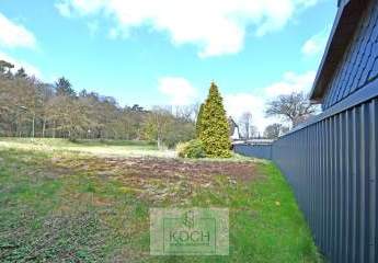 484701-Vorschaubild3