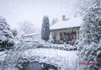 460692-Vorschaubild2