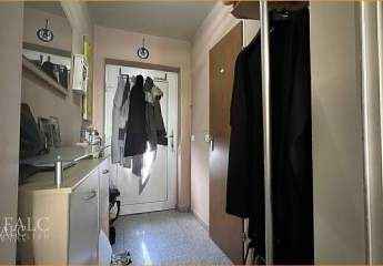 431484-Vorschaubild2