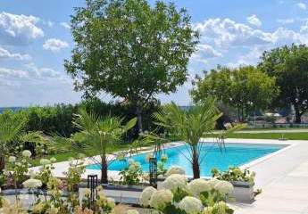 443593-Vorschaubild2