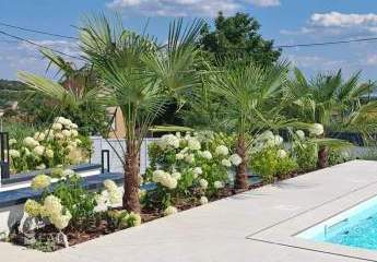 443593-Vorschaubild3