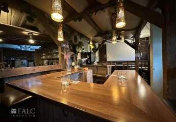 443403-Vorschaubild2