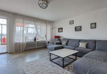 436075-Vorschaubild2