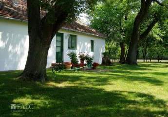 467780-Vorschaubild2