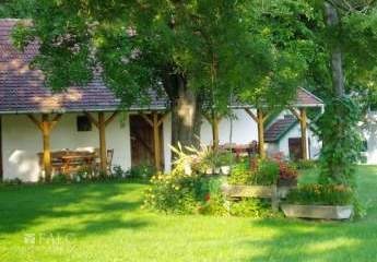 467780-Vorschaubild3