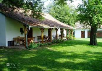 467780-Vorschaubild4