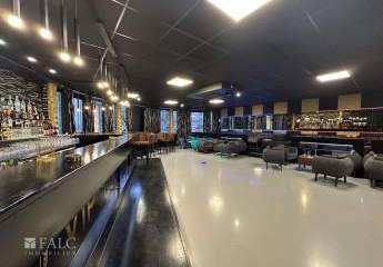 431784-Vorschaubild3