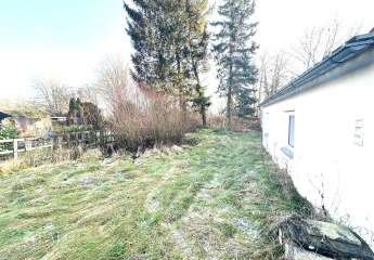 478816-Vorschaubild2