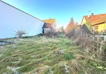 478816-Vorschaubild3