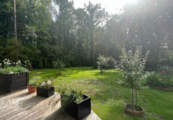 484209-Vorschaubild3