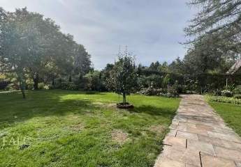 484209-Vorschaubild4