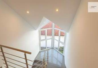 459546-Vorschaubild4