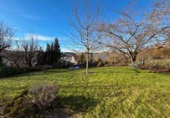 466810-Vorschaubild4