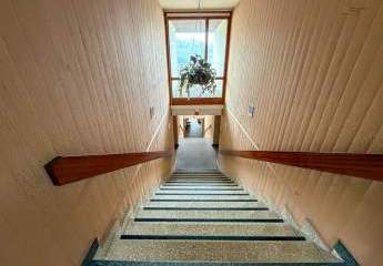 474816-Vorschaubild2