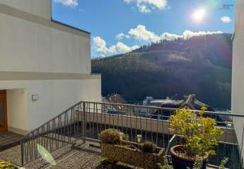 Sonnige Lage einer großen Wohnung