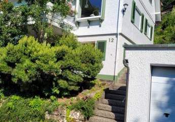 476133-Vorschaubild3