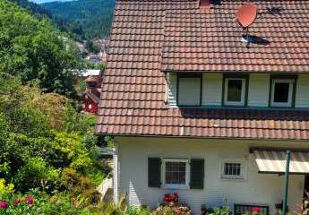 476133-Vorschaubild4