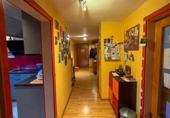 475236-Vorschaubild3