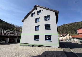 491130-Vorschaubild3