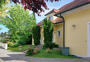 374254-Vorschaubild4