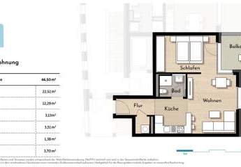 450258-Vorschaubild2