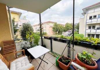 442912-Vorschaubild4