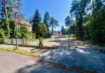 449457-Vorschaubild4