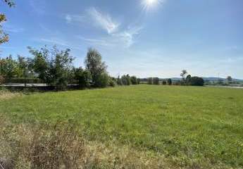 424839-Vorschaubild3